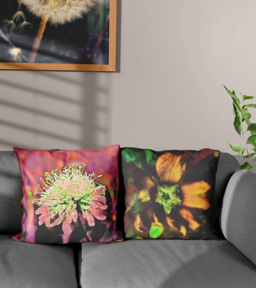 Zwei Sofakissen auf einem Couch