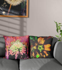 Zwei Sofakissen auf einem Couch