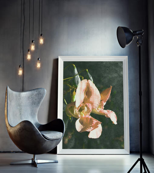 Raum, in dem ein großes Bild mit einer orangefarbigen Blüte an  einer Wand angelehnt steht.